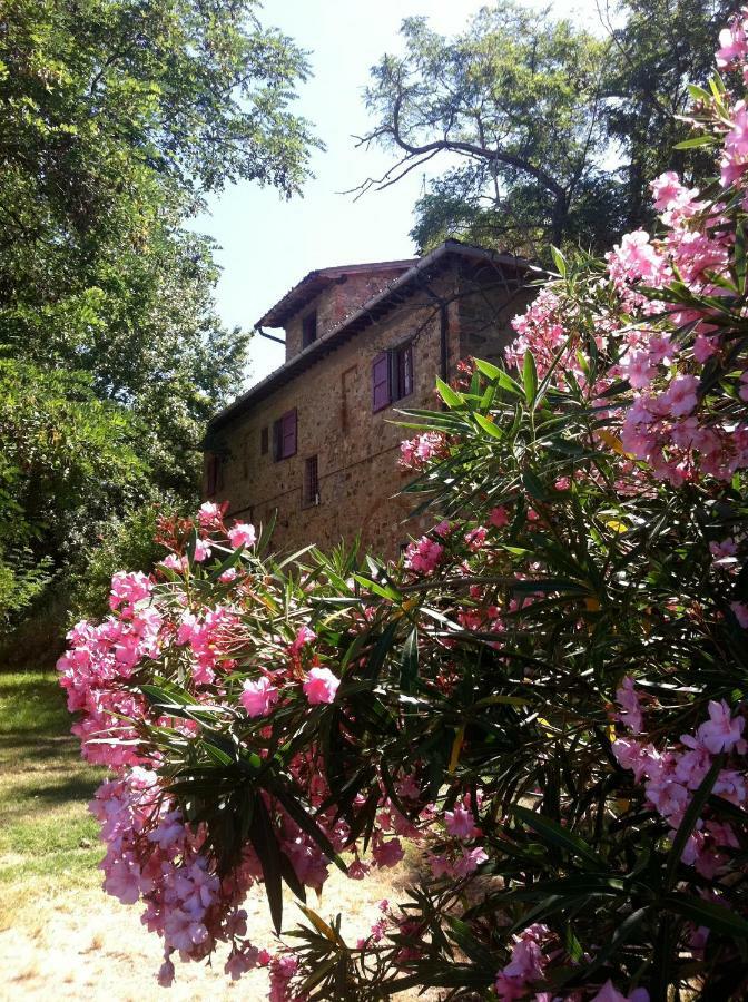 Farmhouse B&B Il Paretaio Barberino Val d'Elsa Exterior photo